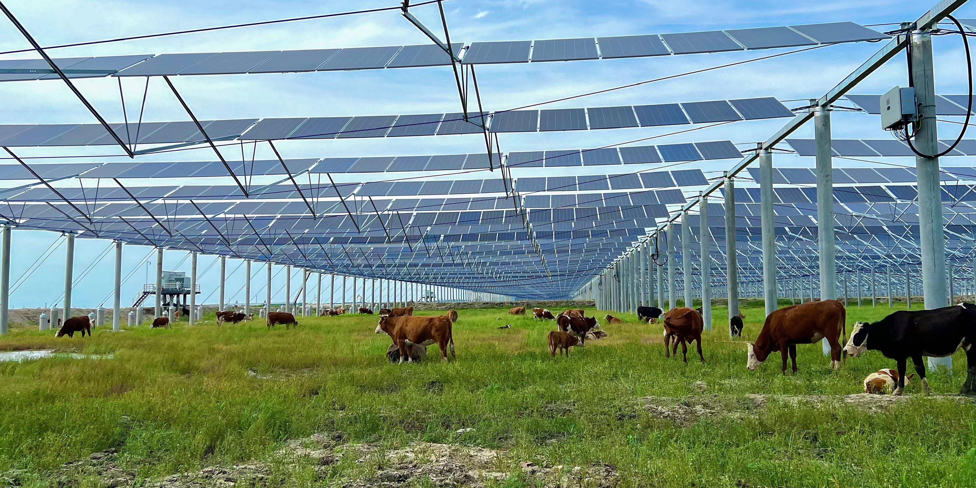 索结构光伏系统如何抵御极端天气 索结构光伏系统如何抵御极端天气