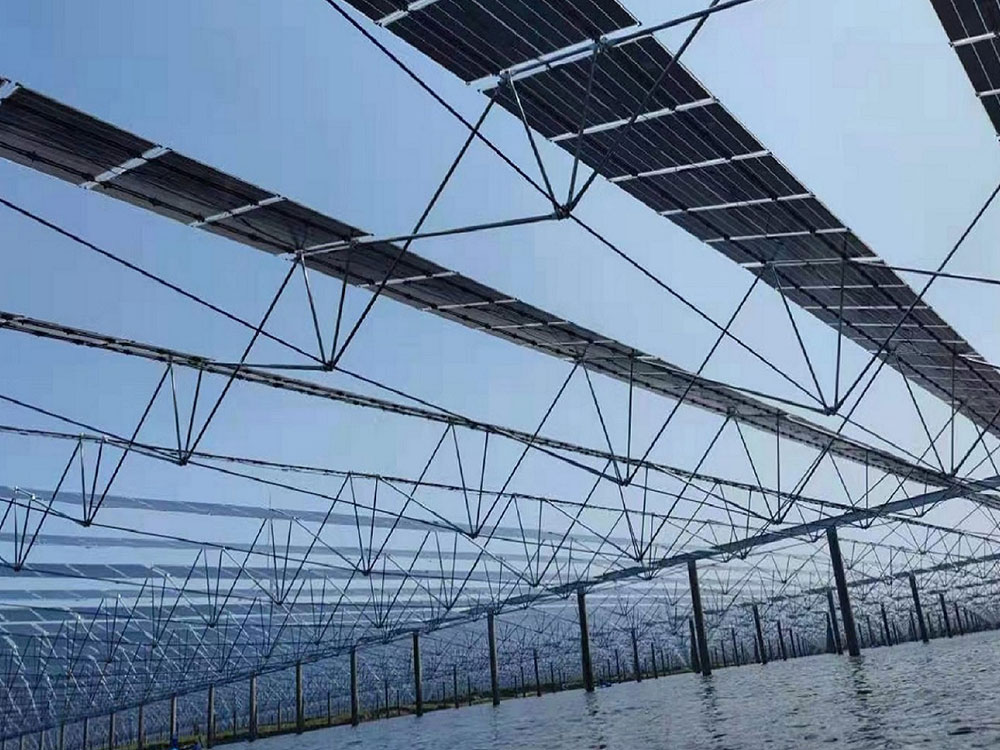 什么是索结构光伏支架？比传统支架好在哪里？