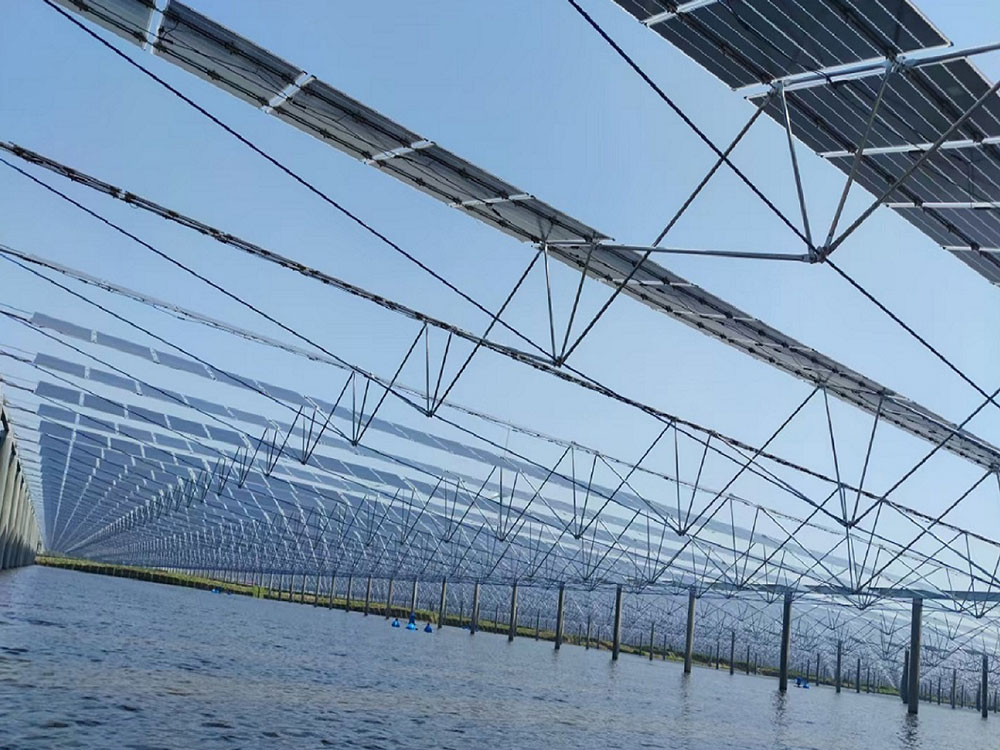 什么是索结构光伏支架？比传统支架好在哪里？